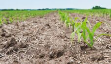 Super El Niño exigirá aceleração da agenda de adaptação no campo, alerta Coalizão Brasil