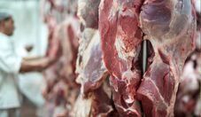 Exportações brasileiras de carne bovina caem 35,1% em setembro, diz ABIEC