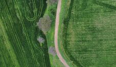 Levantamento mostra que 69 milhões de hectares públicos seguem sem destinação