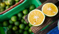 Governo anuncia até R$ 10 milhões em subvenção para comercialização de laranja da safra 2026/27