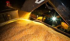 Puxadas pela China, exportações de DDG do MT crescem 35% no ano até setembro
