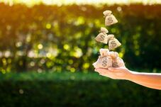 Agro brasileiro pode gerar R$ 2,5 bilhões em créditos de carbono até 2035