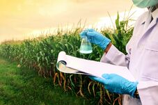Patente de tecnologia verde cria fertilizante inteligente que regenera o solo e reduz emissões