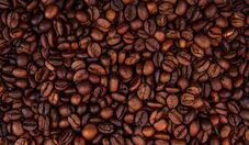 El Niño pode afetar safra de café do Brasil em 2027, aponta fórum da Cooxupé