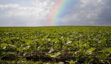 América do Sul ganha projeto regional de previsões climáticas extremas