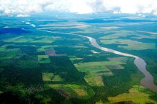 TerraClass: aproximadamente 64% dos biomas Amazônia e Cerrado têm a vegetação natural primária preservada