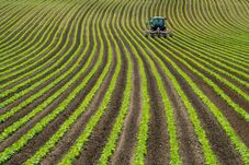 Pedidos de recuperação judicial no agro avançam 22% no 1º tri