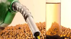 AliançaBiodiesel celebra veto à importação do biocombustível