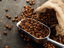 Iniciativa Global do Café prevê US$ 500 milhões para apoiar adaptação da cafeicultura às mudanças climáticas