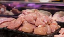Brasil exportou 500,3 mil toneladas de carne de frango em setembro