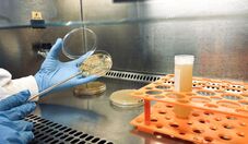 BNDES Bioinsumos recebe inscrições para projetos até 31 de agosto