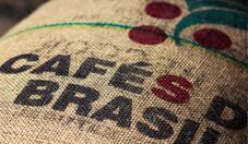 Exportações brasileiras de café verde crescem 20,4% em setembro