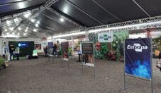 Expoagro reúne tecnologias da Embrapa e capacitações no Amazonas