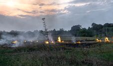 Mato Grosso do Sul suspende queima controlada para prevenir incêndios