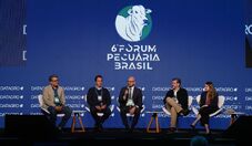 Boi gordo atrai novos investidores e reforça protagonismo do Brasil