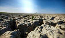 Como a onda de calor no Brasil afeta o agro?