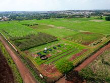 Unicamp abre ao setor privado campo experimental para testes de novas tecnologias agrícolas