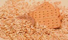 Farinha de triticale pode substituir trigo em produtos alimentícios