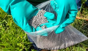 Entregas de fertilizantes ao mercado brasileiro recuam 5,4% no primeiro semestre