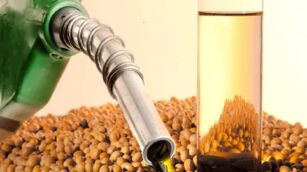 Caramuru aprova financiamento de US$ 100 milhões para biodiesel