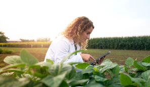 IBGE lança cadastro digital para preparar Censo Agropecuário 2027