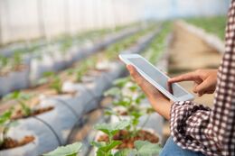 Embrapa e instituições chinesas irão desenvolver tecnologias em IA para agricultura familiar