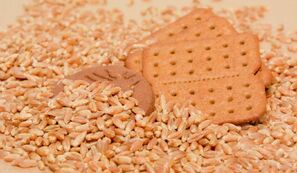 Farinha de triticale pode substituir trigo em produtos alimentícios