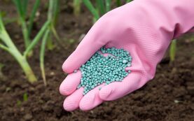 Importação de fertilizantes recua 15,7% no ano até setembro
