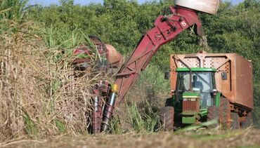 Adecoagro conclui compra da Usina Caarapó da Raízen