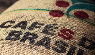 Exportações brasileiras de café verde crescem 20,4% em setembro
