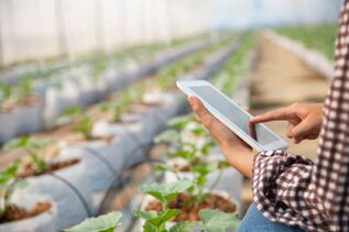 Embrapa e instituições chinesas irão desenvolver tecnologias em IA para agricultura familiar