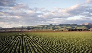 Terras agrícolas registram retorno médio anual de 11,2%