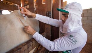 Noxon investe mais de R$ 32 milhões para ampliar fábrica de medicamentos veterinários