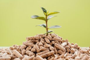 Indicador revela que poder de compra do produtor está favorável para aquisição de fertilizantes