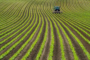 Agroindústria cai 2,7% em agosto e acumula retração de 1% no ano