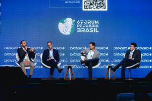 Fórum Pecuária Brasil: nova cota temporária dos EUA e consumo doméstico atenuam reveses relacionados a UE e China para carne bovina