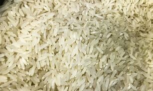 Embarques de arroz crescem 49% no ano até setembro
