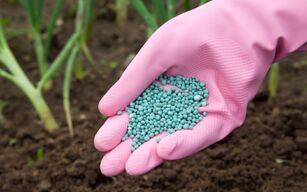 Importação de fertilizantes recua 15,7% no ano até setembro