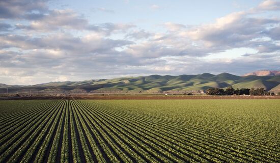 Terras agrícolas registram retorno médio anual de 11,2%