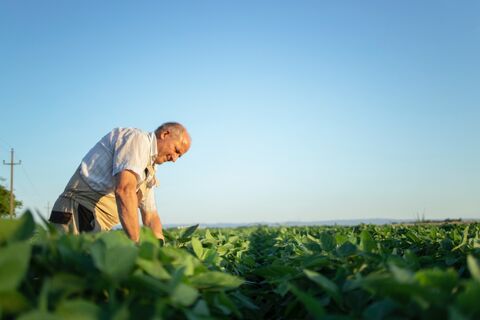 Lei do seguro rural é sancionada, com dispositivo de blindagem dos recursos da subvenção