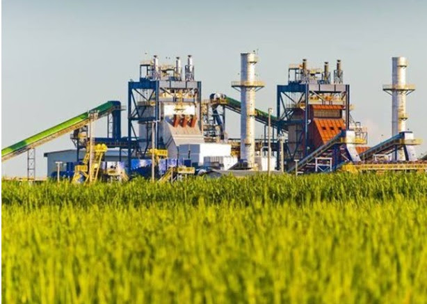 Moagem de cana no Norte e Nordeste sobe, com alta na produção de etanol e queda no volume de açúcar, diz NovaBio