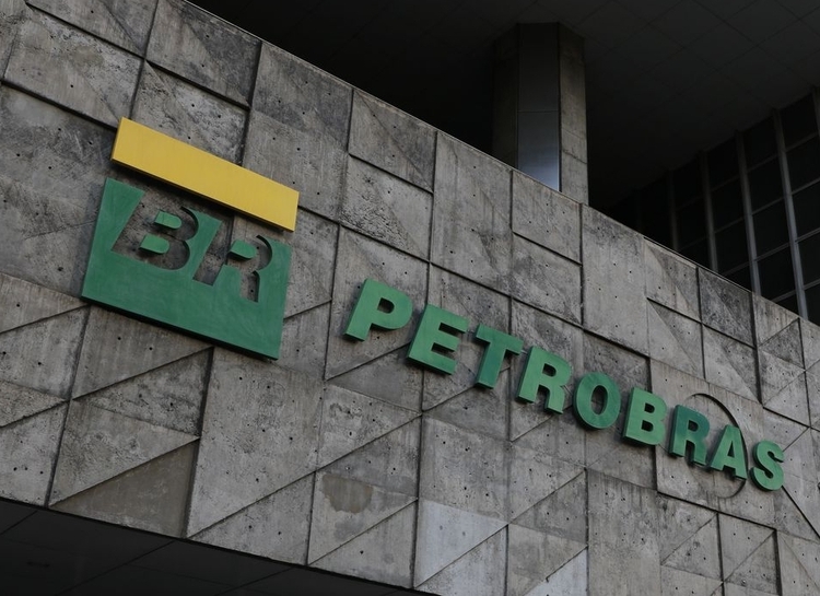 Ibama aprova plano da Petrobras sobre fauna na Foz do Amazonas