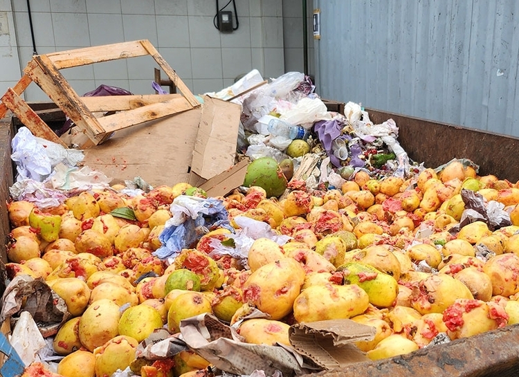 Novo sistema aumenta produção de biogás a partir de resíduos de frutas e verduras