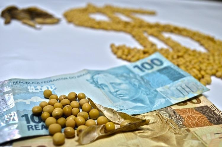 CMN reduz juros de financiamentos a cooperativas rurais pelo Pronaf