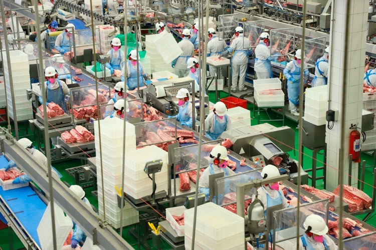 Agroindústria cresce 0,5% em janeiro, aponta FGVAgro
