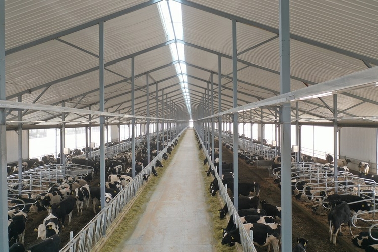 Preço do leite ao produtor sobe mais de 5% em fevereiro