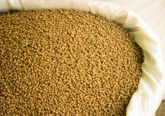 Produção de ração animal cresce 3% em 2025, diz Sindirações