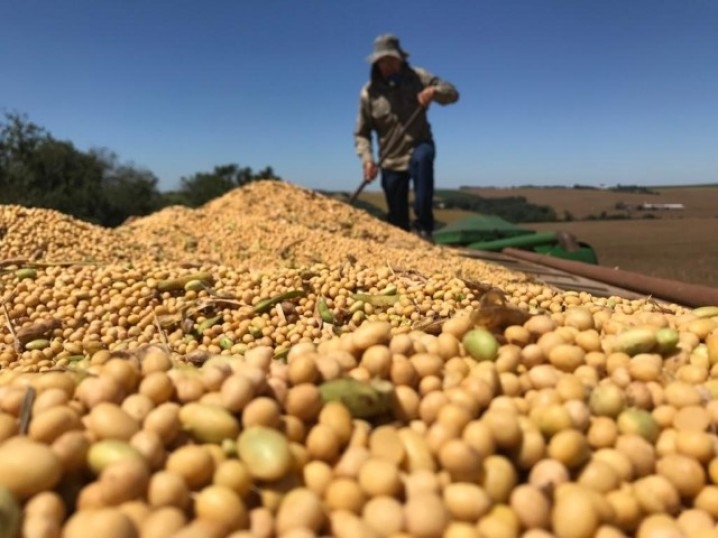 Uso de bioinsumos eleva em mais de 8% produtividade da soja no Paraná