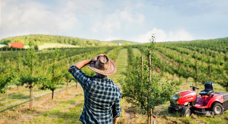 Faturamento do setor de seguro rural 11% em janeiro no comparativo anual