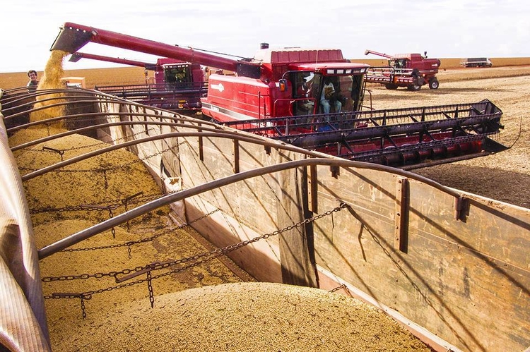 Safra 2025/26 de soja da América do Sul deve crescer 3%, projeta DATAGRO